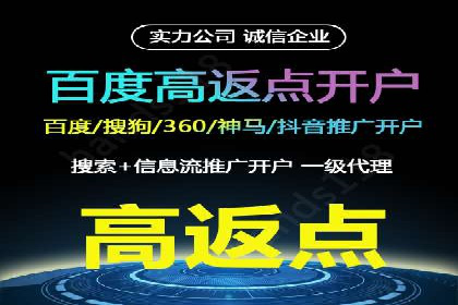 竞价排名成功案例分享